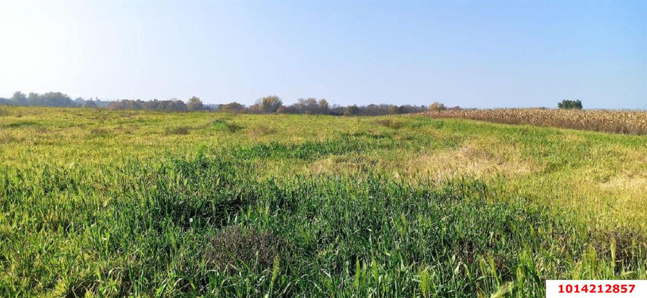 Фото №5: Коммерческая земля 458&nbsp;сот. - Краснодарский край Северский район