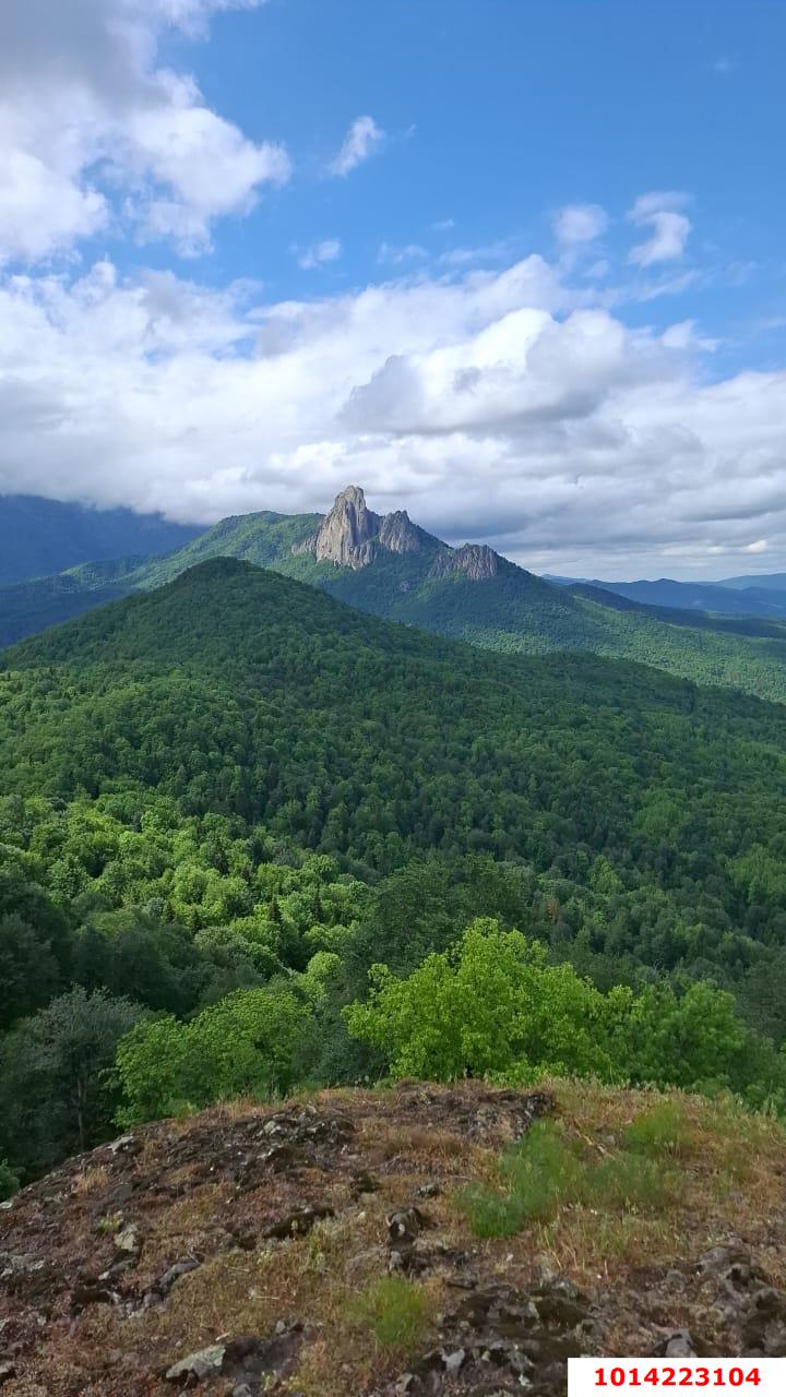 Фото №5: Коммерческая земля 13.7&nbsp;сот. - Тубы, ул. Клубная, 32