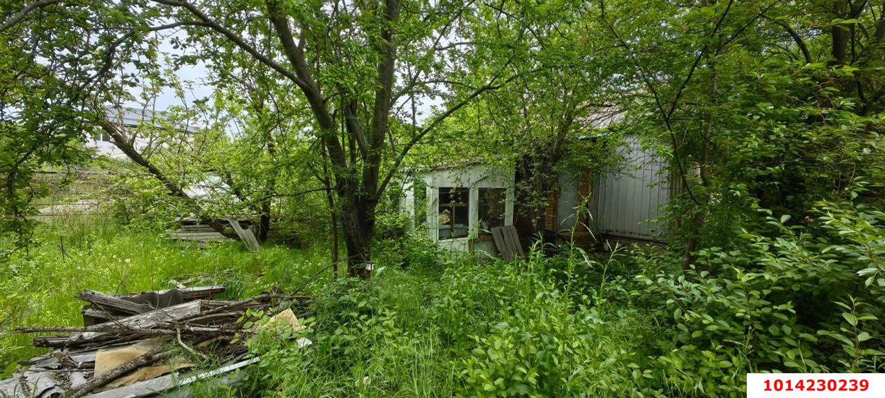 Фото №6: Личное подсобное хозяйство 4&nbsp;сот. - Электрон, мкр. Карасунский внутригородской округ, ул. Грушевая, 7