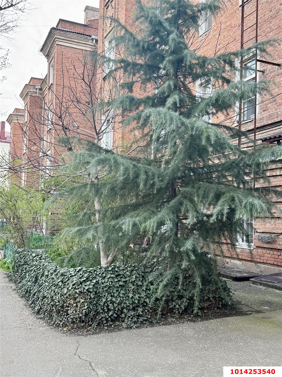 Фото №9: 3-комнатная квартира 66&nbsp;м², 1/4&nbsp;эт. - Краснодар, Центральный внутригородской округ, мкр. Завод Измерительных Приборов, ул. Ростовское шоссе, 10