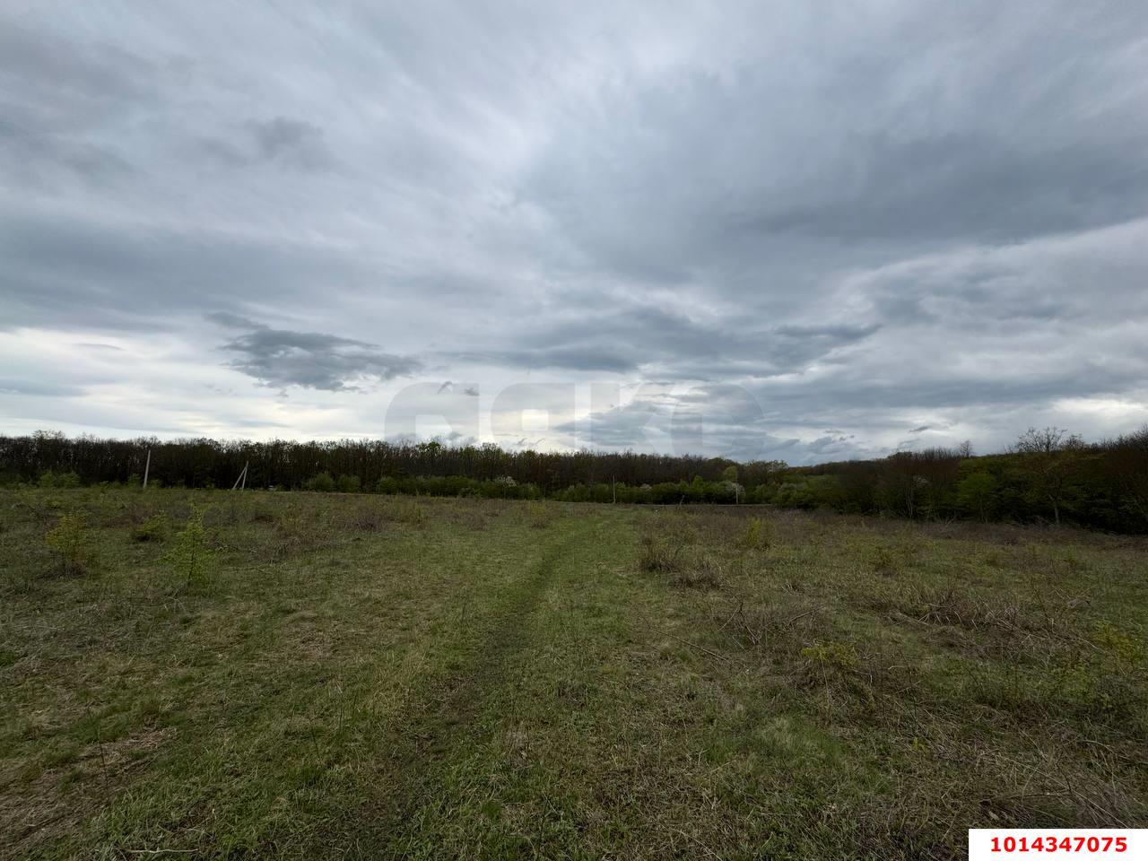Фото №3: Коммерческая земля 196.34&nbsp;сот. - Красноармейский, ул. Ворошилова, 16