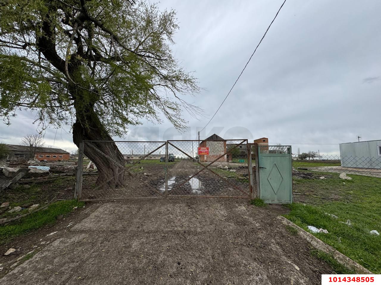 Фото №5: Коммерция 329&nbsp;м², 1/1&nbsp;эт. - Красноармейский