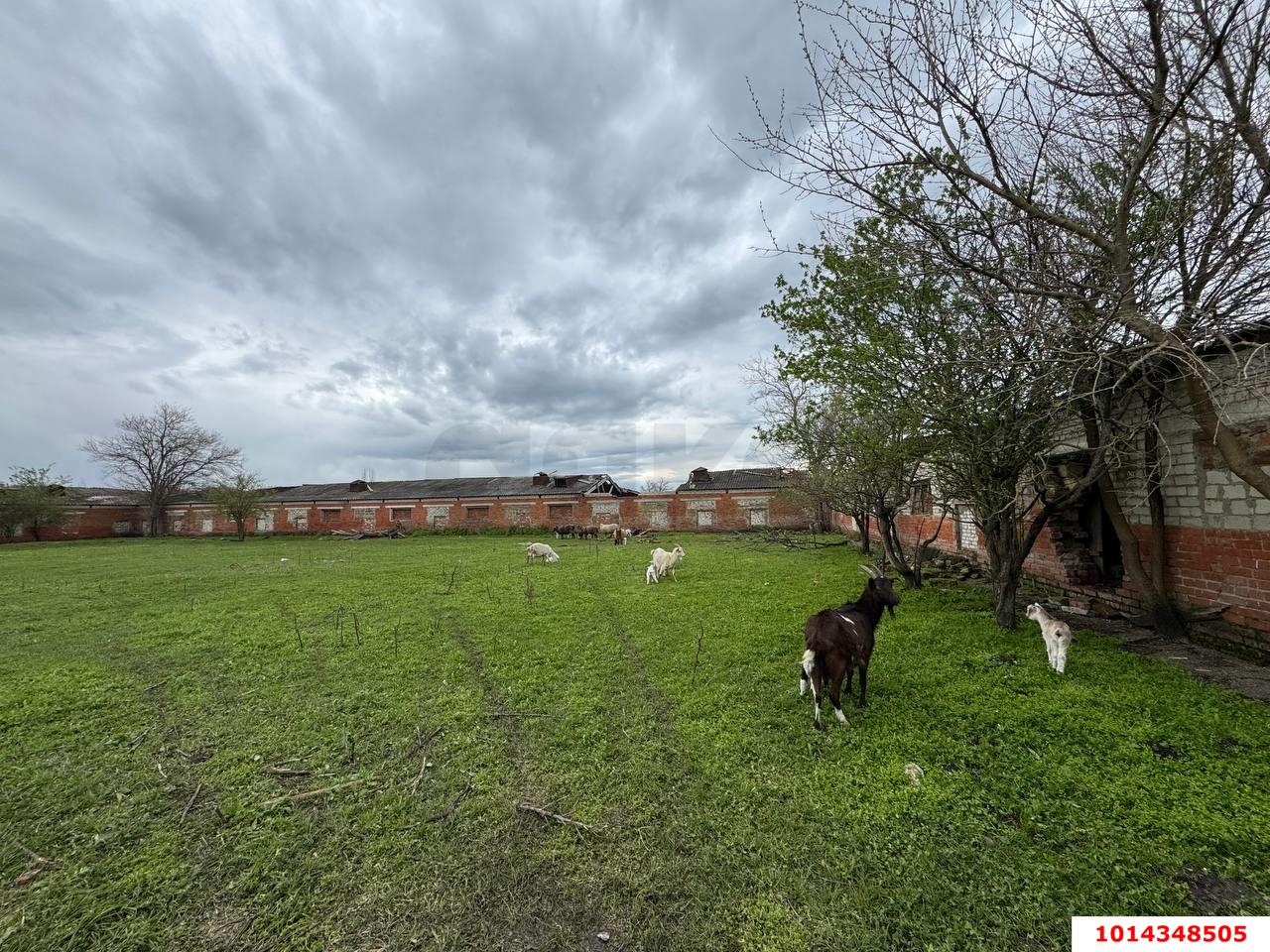 Фото №4: Коммерция 329&nbsp;м², 1/1&nbsp;эт. - Красноармейский