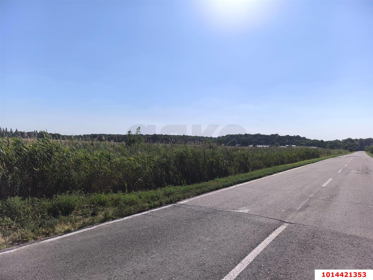 Фото №2: Коммерческая земля 34.62&nbsp;сот. - Отрадный, ул. Победы, 1