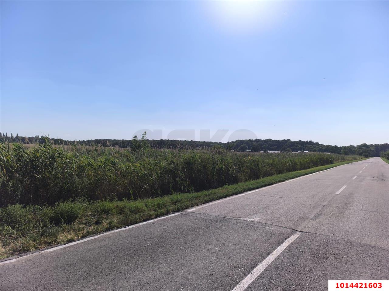Фото №3: Коммерческая земля 34.44&nbsp;сот. - Отрадный, ул. Победы, 1