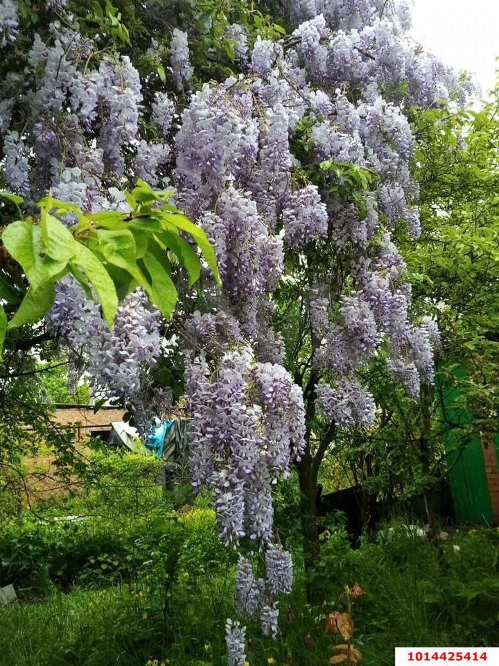 Фото №6: Дом 35&nbsp;м² + 4&nbsp;сот., 2&nbsp;эт. - Шоссейное, мкр. Прикубанский внутригородской округ, ул. Вишнёвая, 3