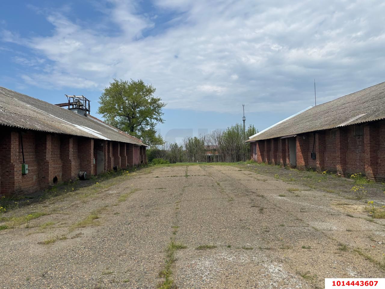 Фото №6: Производственное помещение 12000&nbsp;м², 1/1&nbsp;эт. - Темижбекская, ул. Расшеватская, 47