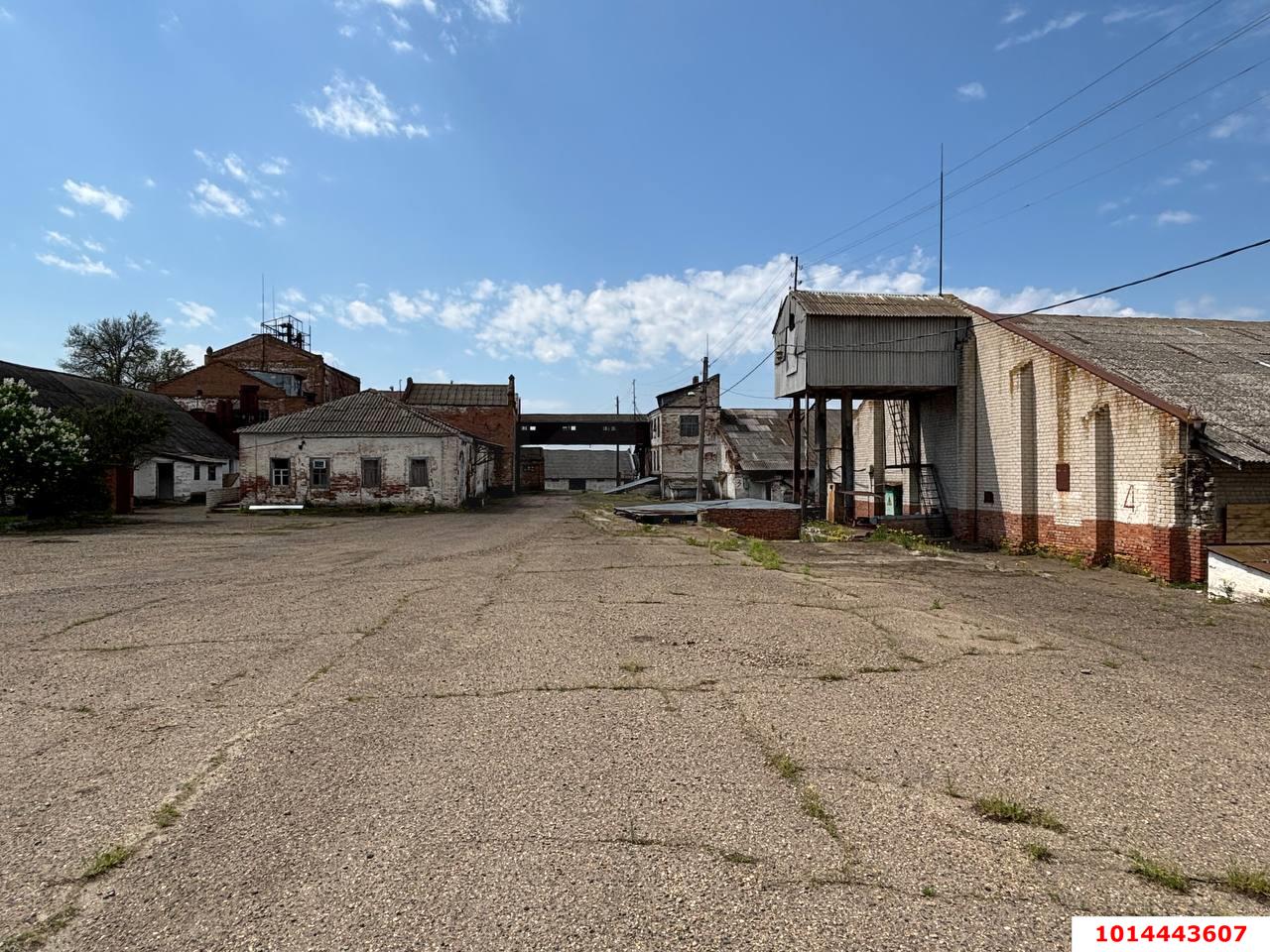Фото №11: Производственное помещение 12000&nbsp;м², 1/1&nbsp;эт. - Темижбекская, ул. Расшеватская, 47