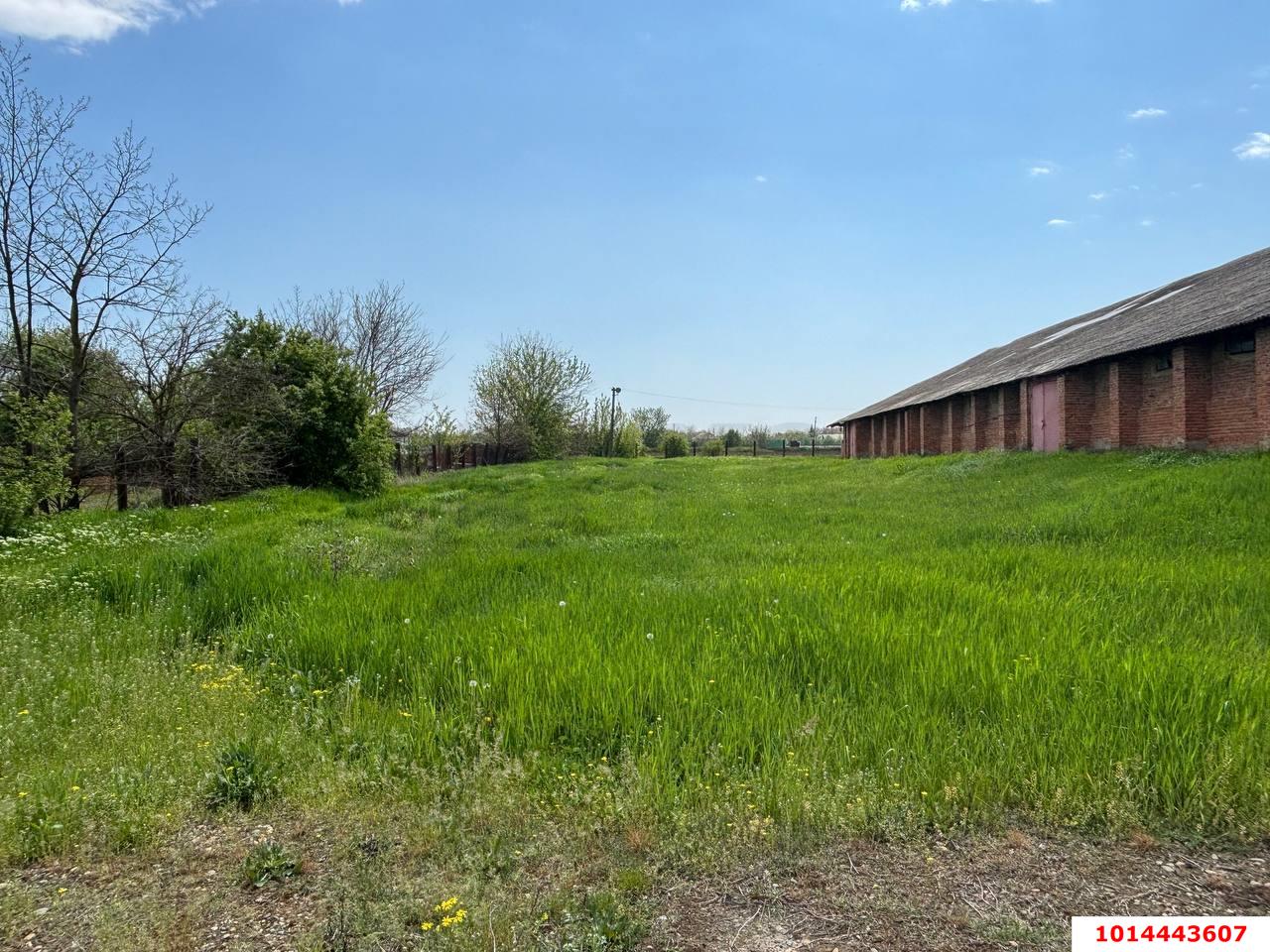 Фото №5: Производственное помещение 12000&nbsp;м², 1/1&nbsp;эт. - Темижбекская, ул. Расшеватская, 47