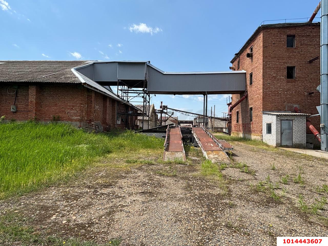 Фото №4: Производственное помещение 12000&nbsp;м², 1/1&nbsp;эт. - Темижбекская, ул. Расшеватская, 47
