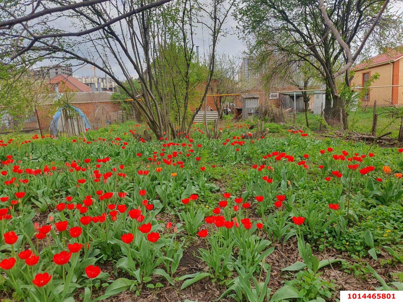 Фото №6: Дом 52&nbsp;м² + 6.65&nbsp;сот., 1&nbsp;эт. - Краснодар, Прикубанский внутригородской округ, Калинино, мкр. Завод Радиоизмерительных Приборов, ул. 1 Мая, 451