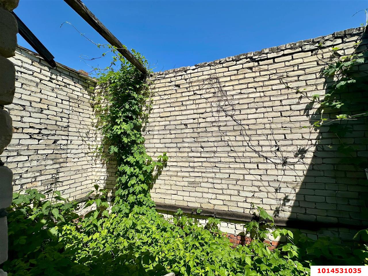 Фото №5: Личное подсобное хозяйство 6&nbsp;сот. - Сад Кубани, мкр. Прикубанский внутригородской округ, ул. Парковая, 65