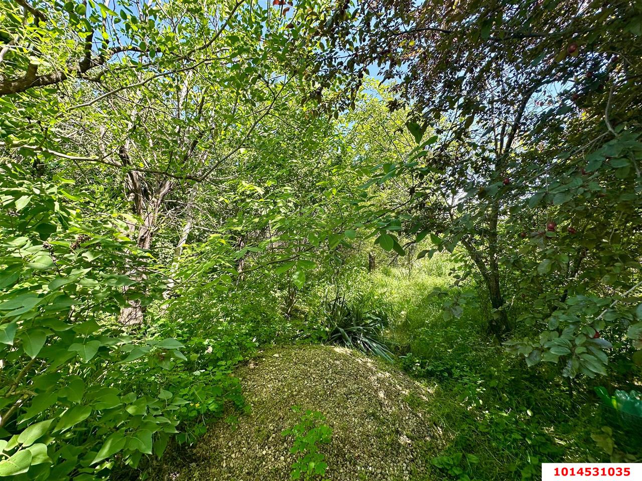 Фото №11: Личное подсобное хозяйство 6&nbsp;сот. - Сад Кубани, мкр. Прикубанский внутригородской округ, ул. Парковая, 65