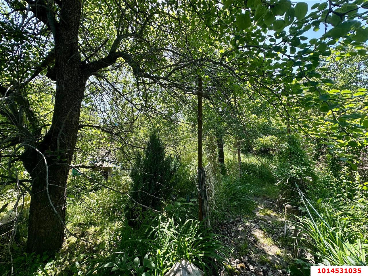 Фото №10: Личное подсобное хозяйство 6&nbsp;сот. - Сад Кубани, мкр. Прикубанский внутригородской округ, ул. Парковая, 65