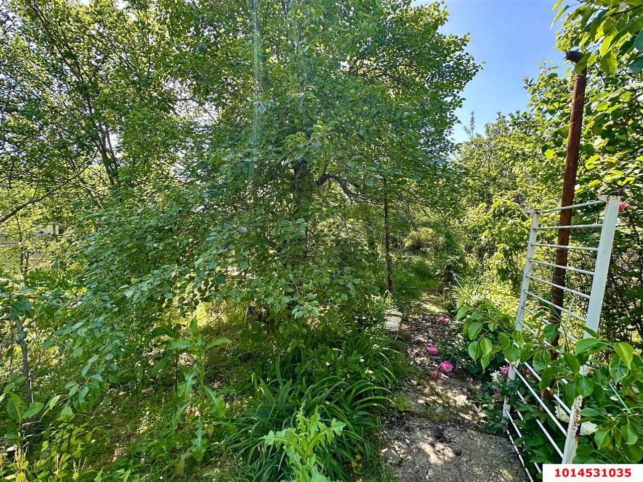 Фото №3: Личное подсобное хозяйство 6&nbsp;сот. - Сад Кубани, мкр. Прикубанский внутригородской округ, ул. Парковая, 65