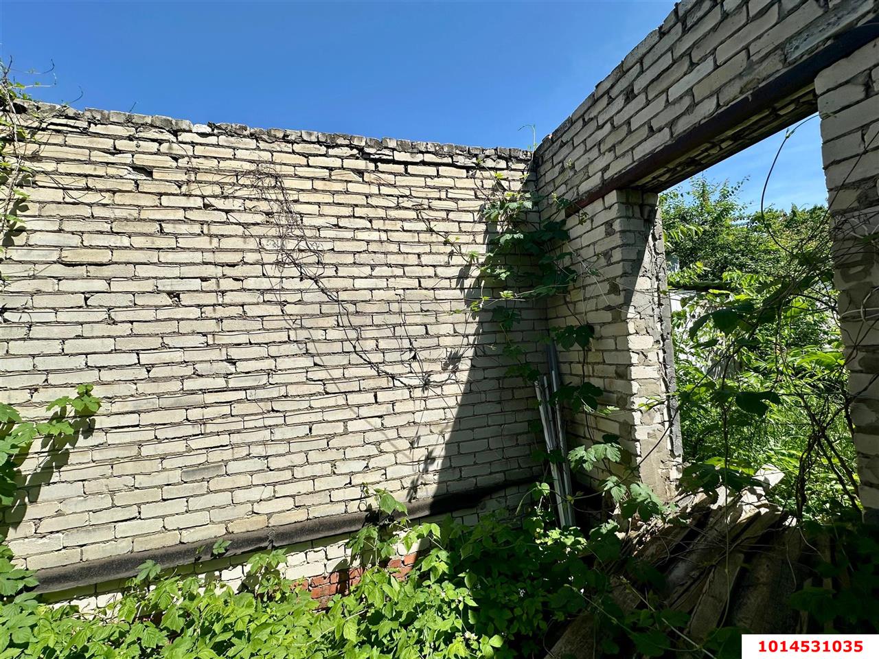 Фото №4: Личное подсобное хозяйство 6&nbsp;сот. - Сад Кубани, мкр. Прикубанский внутригородской округ, ул. Парковая, 65