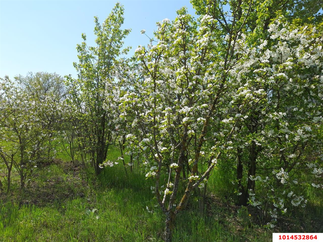 Фото №2: Земельный участок под ИЖС 7.2&nbsp;сот. - Полтавка, ул. Гридасова