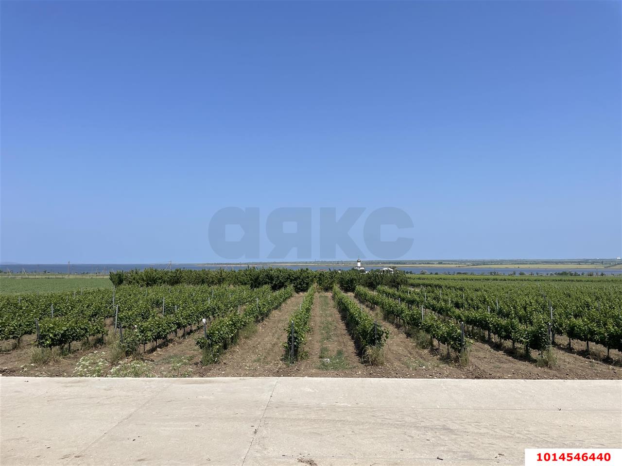 Фото №8: Готовый бизнес 1144&nbsp;м² - Запорожская, пер. Советский