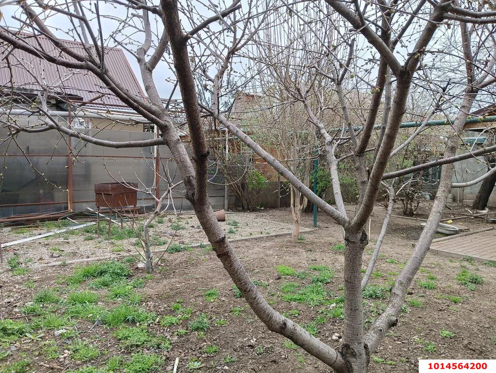 Фото №18: Дом 50&nbsp;м² + 4.7&nbsp;сот., 1&nbsp;эт. - Краснодар, Прикубанский внутригородской округ, мкр. Табачная Фабрика, ул. Первомайская, 8/1