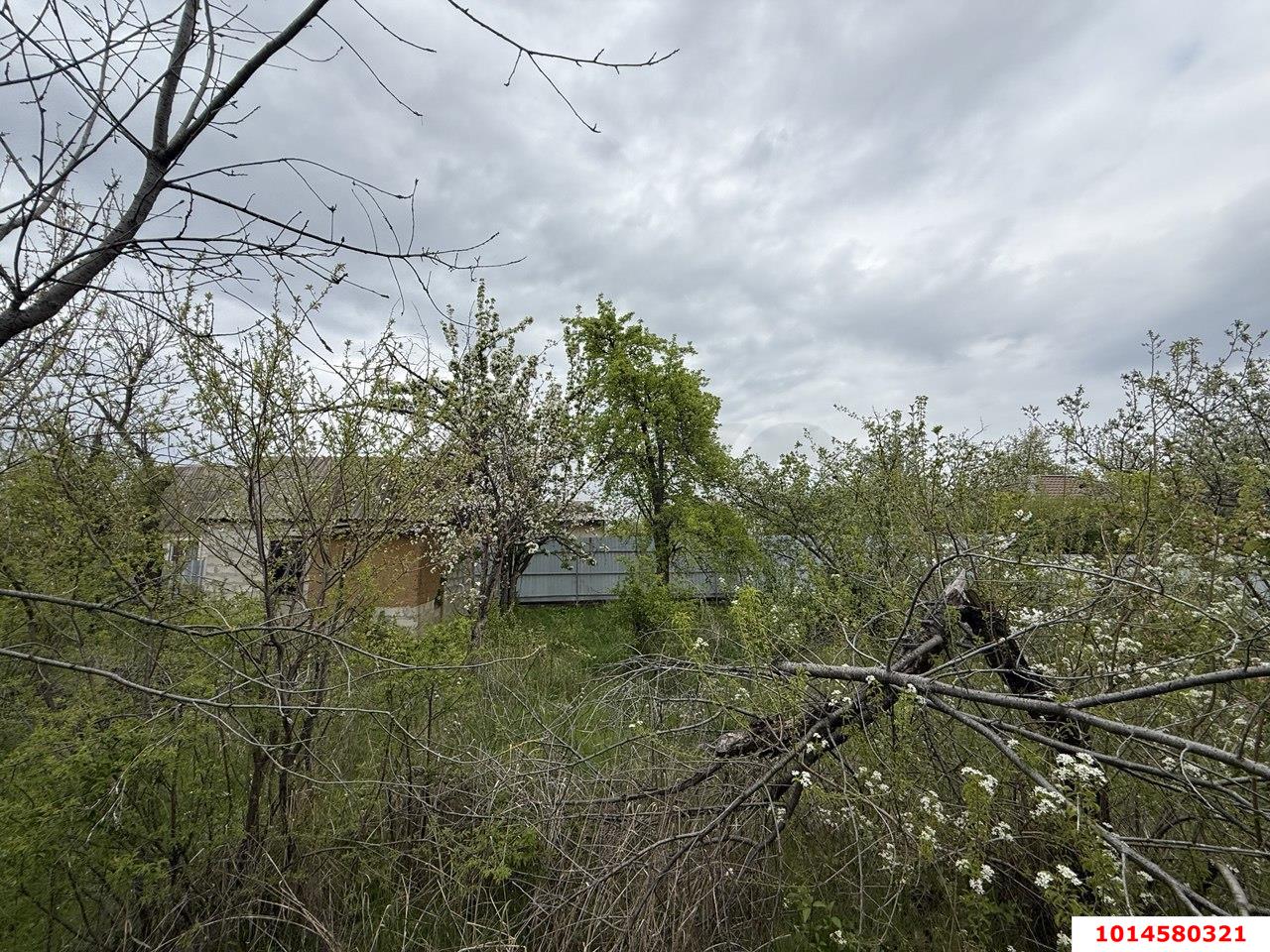 Фото №3: Земельный участок под ИЖС 8.2&nbsp;сот. - Краснодар, Прикубанский внутригородской округ, Сады Калинина, ст Лесник, ул. Полевая, 268