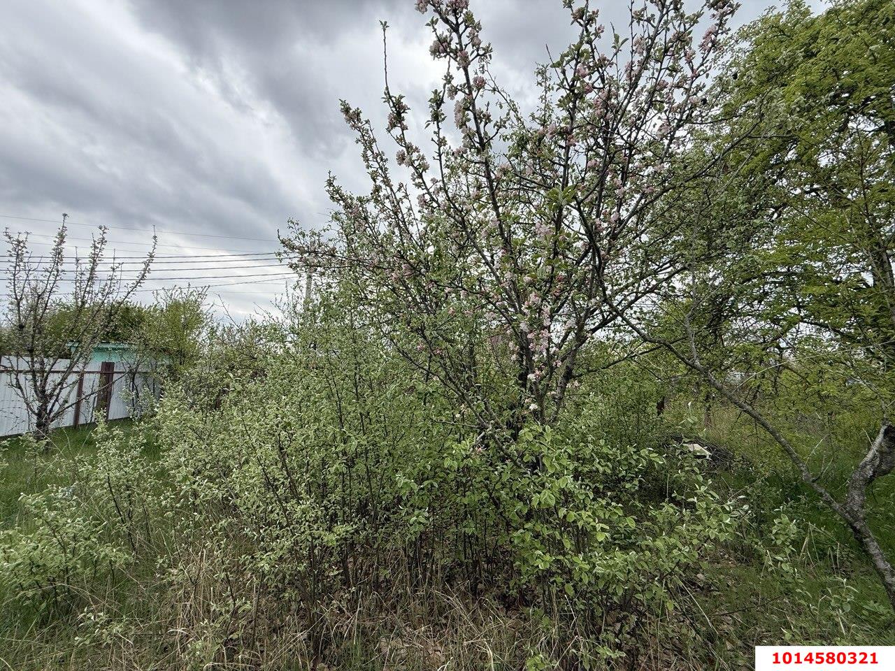 Фото №1: Земельный участок под ИЖС 8.2&nbsp;сот. - Краснодар, Прикубанский внутригородской округ, Сады Калинина, ст Лесник, ул. Полевая, 268