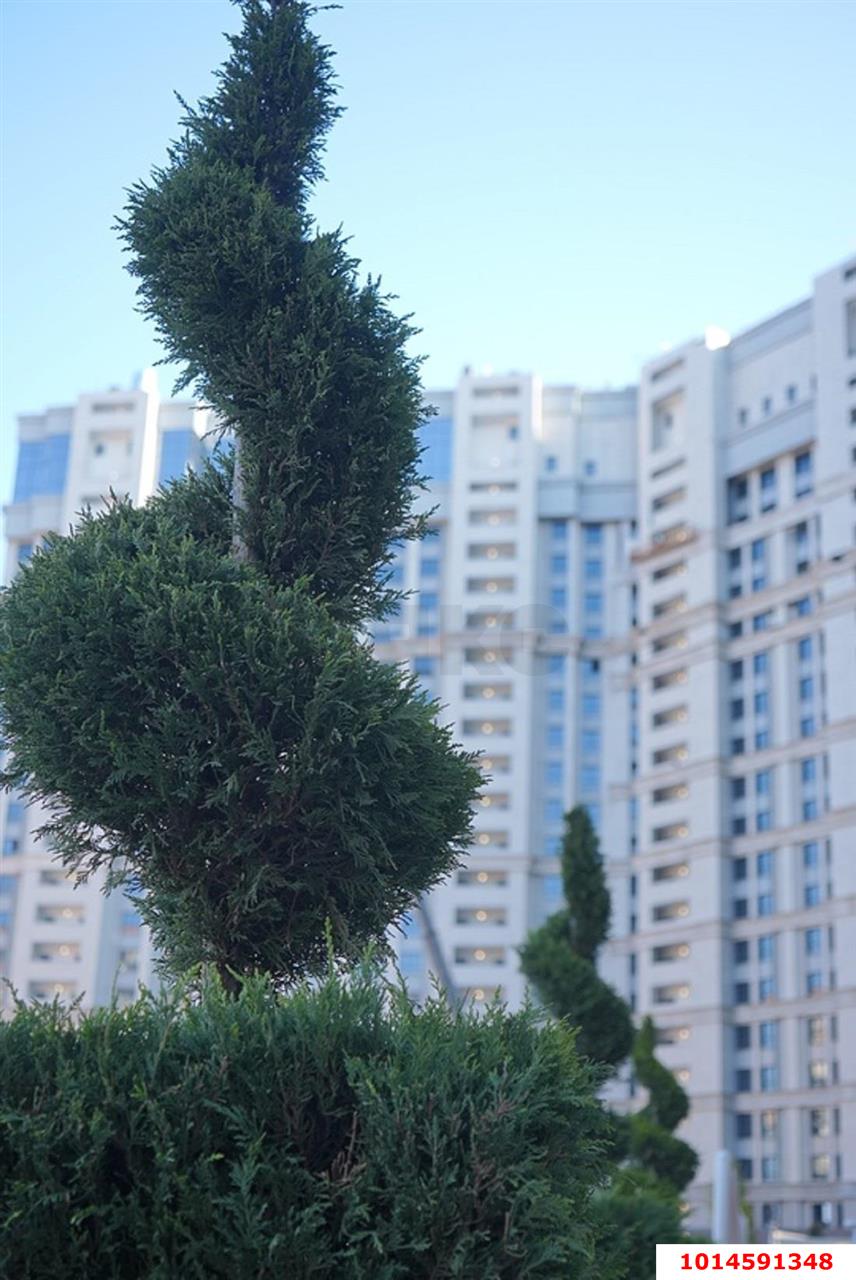 Фото №15: Студия 34&nbsp;м², 8/19&nbsp;эт. - Краснодар, Прикубанский внутригородской округ, Круглик, жилой комплекс Сердце, мкр. Школьный, ул. Школьная, 1