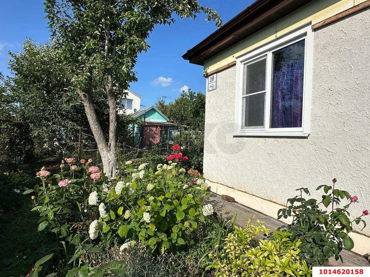 Фото №15: Дом 60&nbsp;м² + 4&nbsp;сот., 1&nbsp;эт. - СНТ Строитель, мкр. Прикубанский внутригородской округ, ул. Сливовая