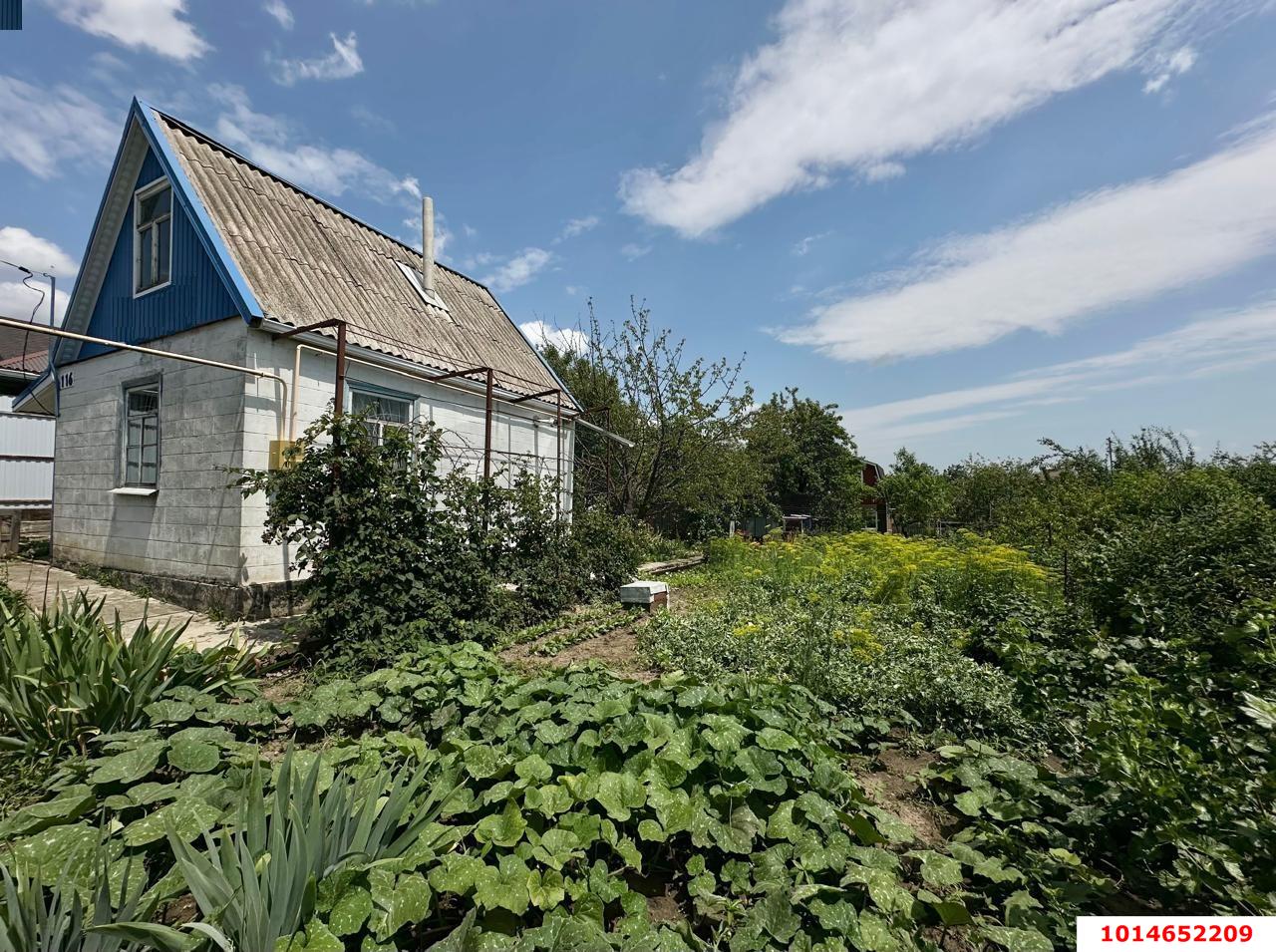 Фото №4: Дом 30&nbsp;м² + 4&nbsp;сот., 1&nbsp;эт. - Знаменский, Карасунский внутригородской округ, мкр. СНТ Автомобилист-2, ул. Клубничная