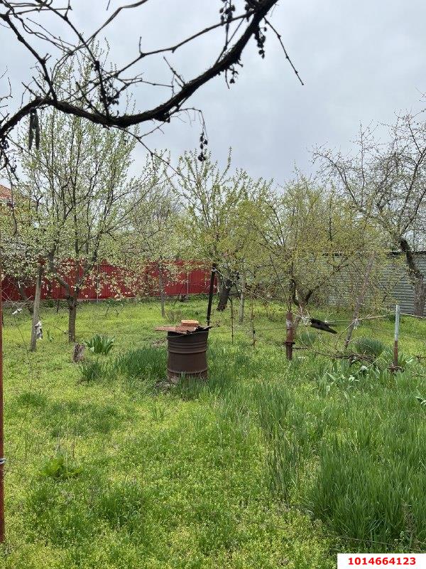 Фото №4: Личное подсобное хозяйство 6.29&nbsp;сот. - Заря, мкр. Прикубанский внутригородской округ, ул. Майская, 48