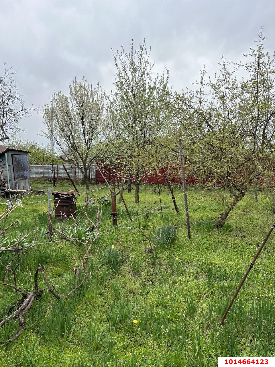 Фото №6: Личное подсобное хозяйство 6.29&nbsp;сот. - Заря, мкр. Прикубанский внутригородской округ, ул. Майская, 48
