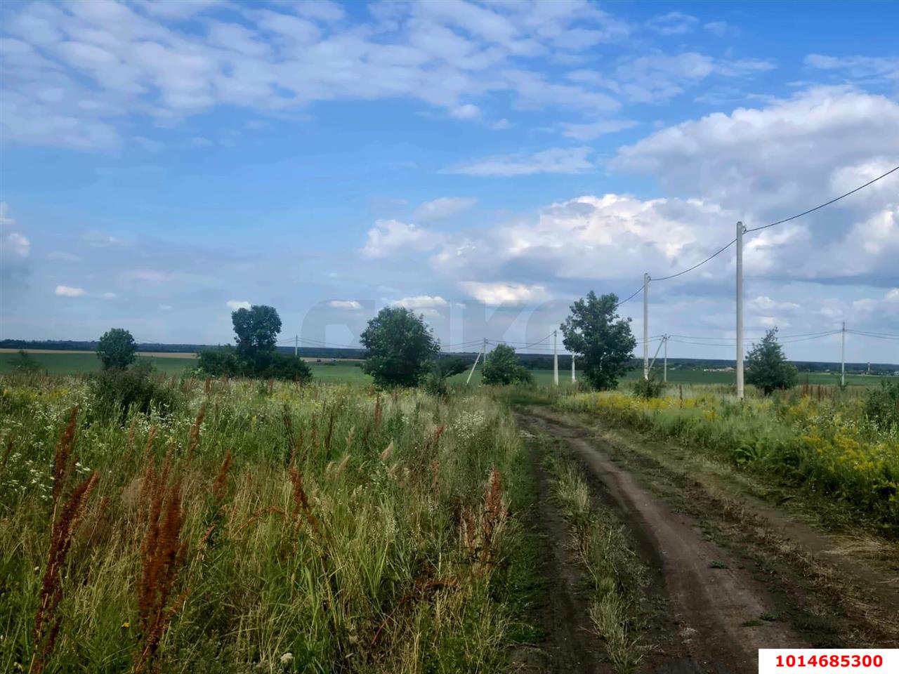 Фото №2: Личное подсобное хозяйство 10&nbsp;сот. - садово- Адыгея, 972