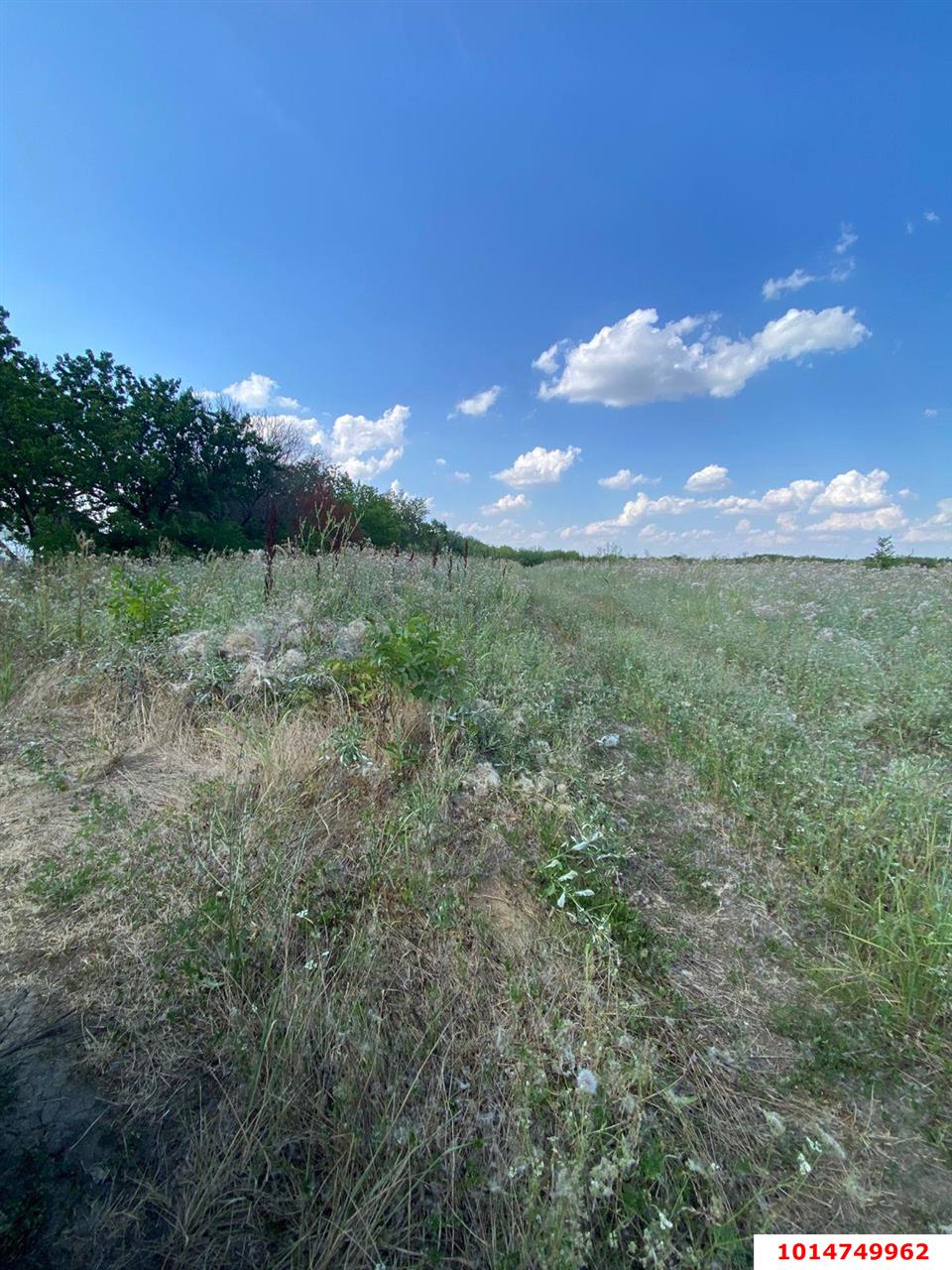 Фото №5: Земельный участок под ИЖС 6.69&nbsp;сот. - Дружелюбный, Прикубанский внутригородской округ, коттеджный комплекс Дружный, мкр. квартал Куренной, 345