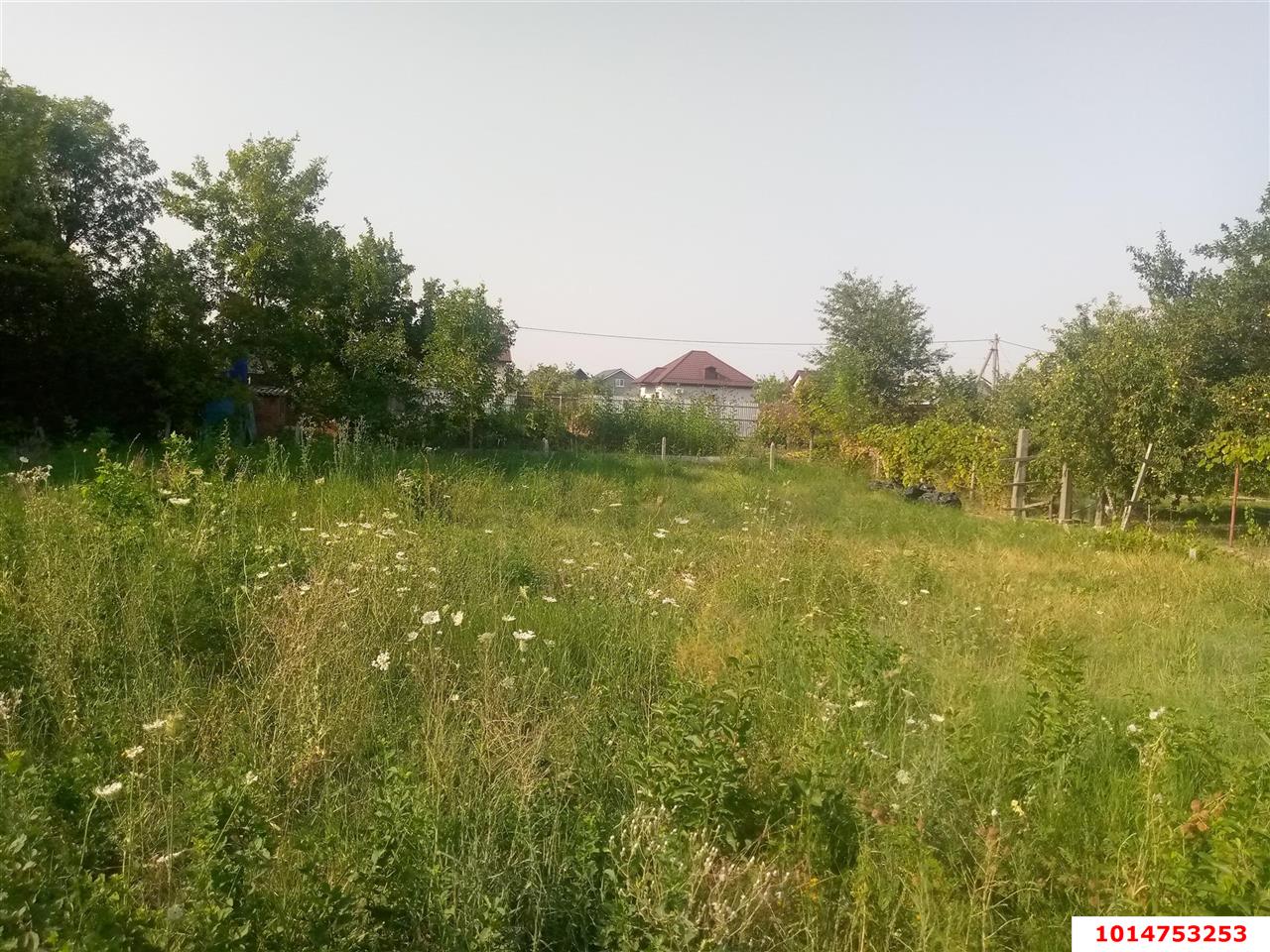 Фото №2: Личное подсобное хозяйство 6&nbsp;сот. - имени Хуаде, ул. Вишнёвая, 30