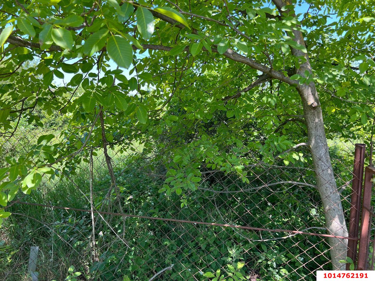 Фото №7: Личное подсобное хозяйство 6&nbsp;сот. - Авиатор, мкр. Прикубанский внутригородской округ, ул. Парковая, 101