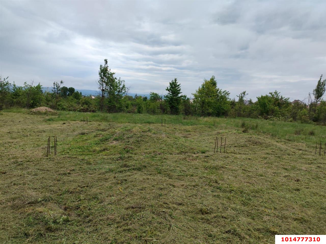Фото №2: Земельный участок под ИЖС 6.24&nbsp;сот. - Апшеронск, ул. Кленовая, 56