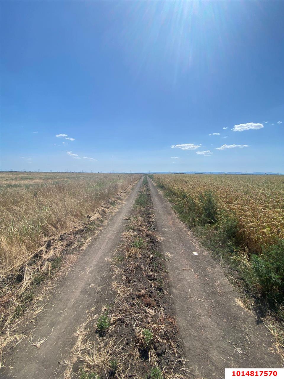 Фото №5: Коммерческая земля 2000&nbsp;сот. - Республика Адыгея (Адыгея) Тахтамукайский район