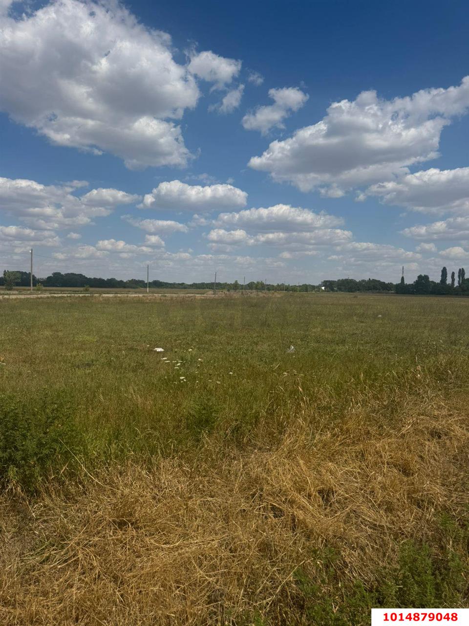 Фото №5: Коммерческая земля 10.77&nbsp;сот. - Петропавловская, пер. Толстого