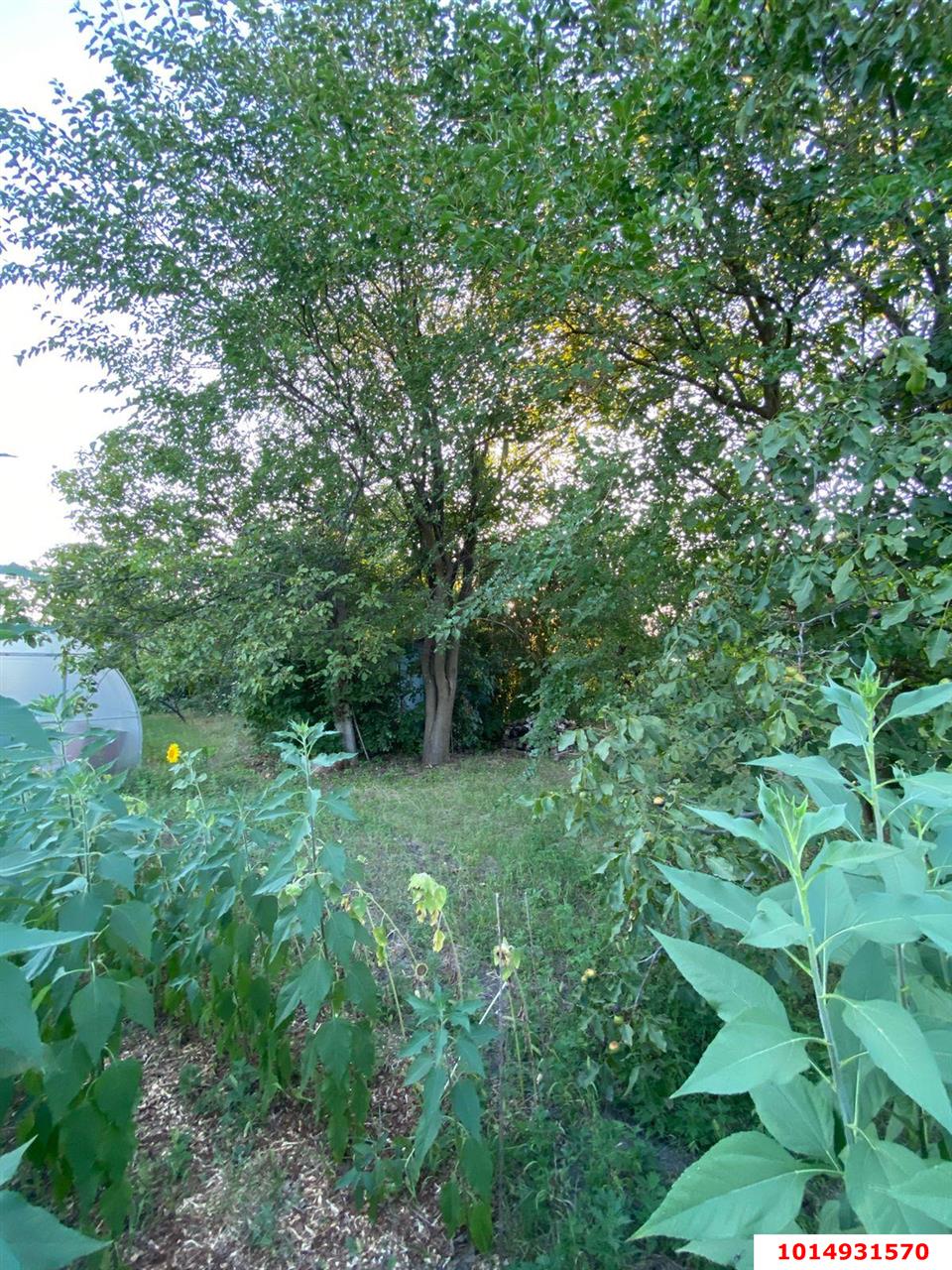 Фото №5: Дом 80&nbsp;м² + 16&nbsp;сот., 1&nbsp;эт. - Октябрьский, Прикубанский внутригородской округ, ст Тополь, ул. Луговая, 37