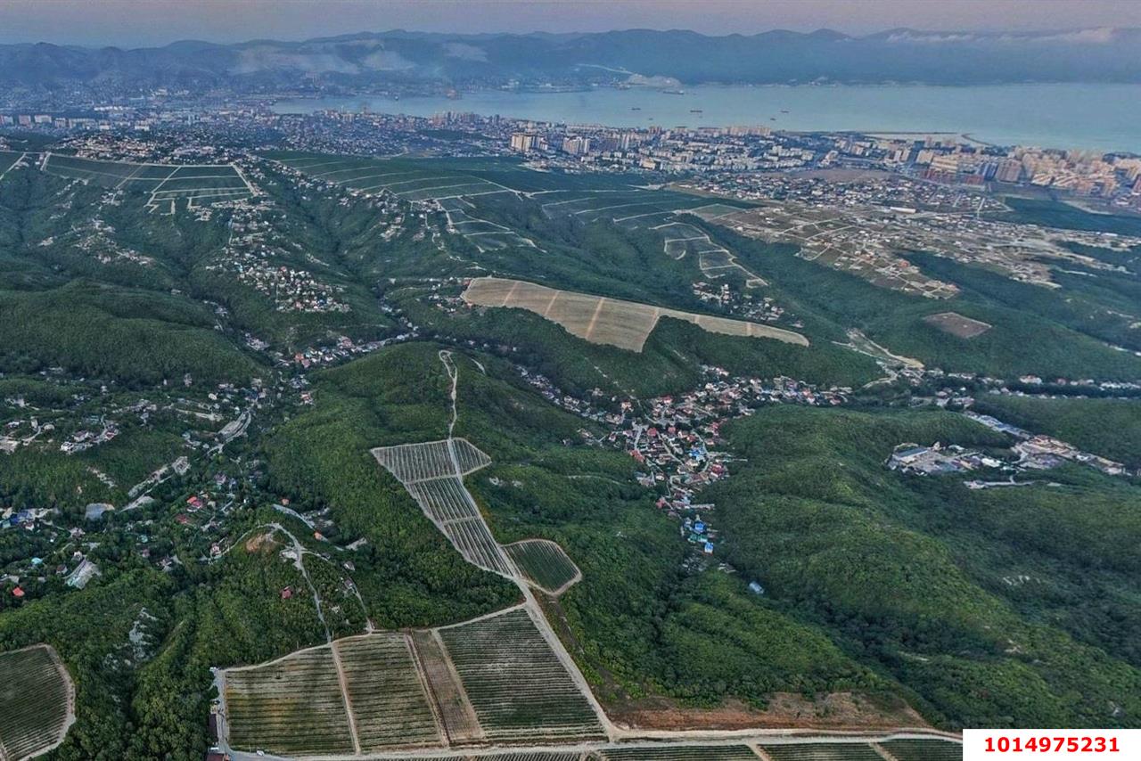 Фото №5: Личное подсобное хозяйство 7&nbsp;сот. - СНТ Рыбак, ул. Лучистая, 17