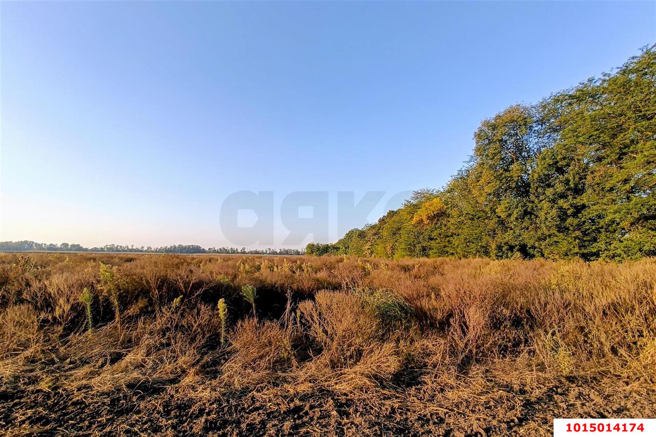Фото №10: Коммерческая земля 200&nbsp;сот. - Старокорсунская, мкр. Карасунский внутригородской округ, ул. Благодарная