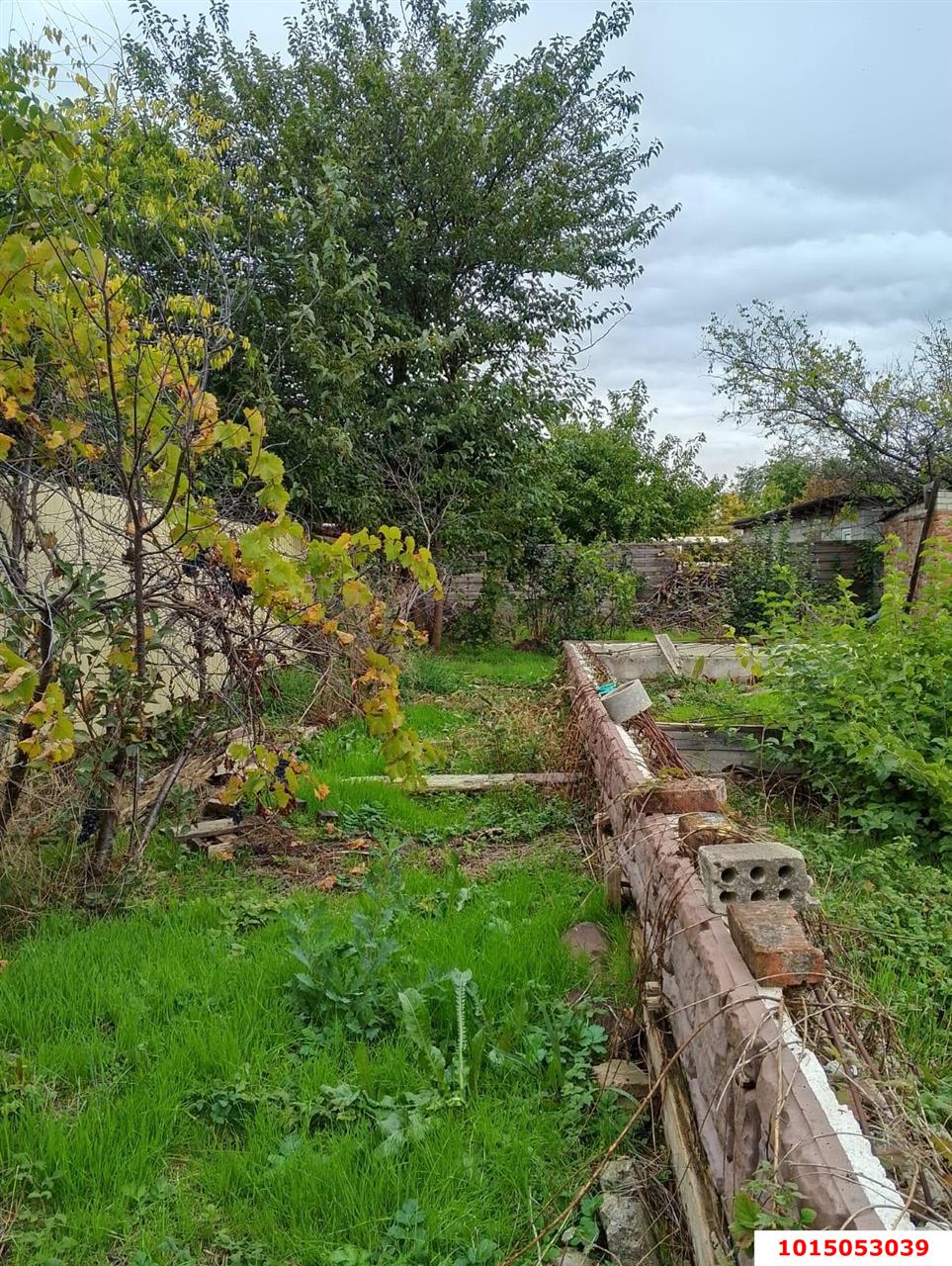 Фото №8: Земельный участок под ИЖС 4&nbsp;сот. - Краснодар, Прикубанский внутригородской округ, Сады Калинина, ст КНИИСХ, ул. Грушевая