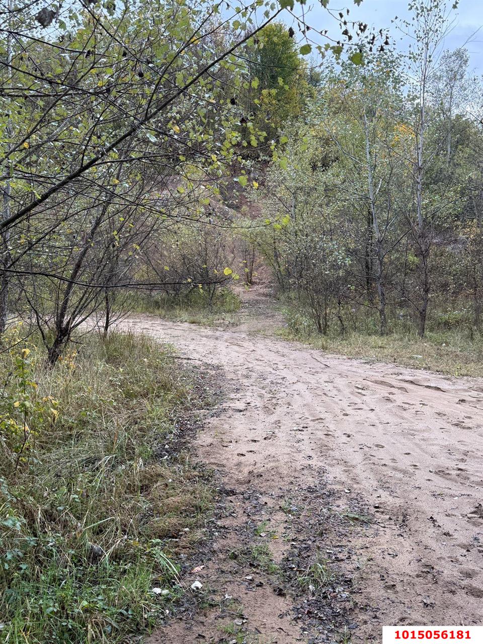 Фото №5: Коммерческая земля 352&nbsp;сот. - Нефтегорск