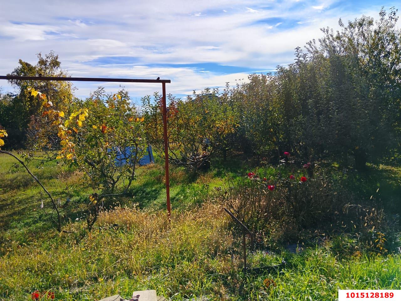 Фото №2: Личное подсобное хозяйство 6.3&nbsp;сот. - Ленина, Карасунский внутригородской округ, снт Радуга, ул. Клубничная, 510