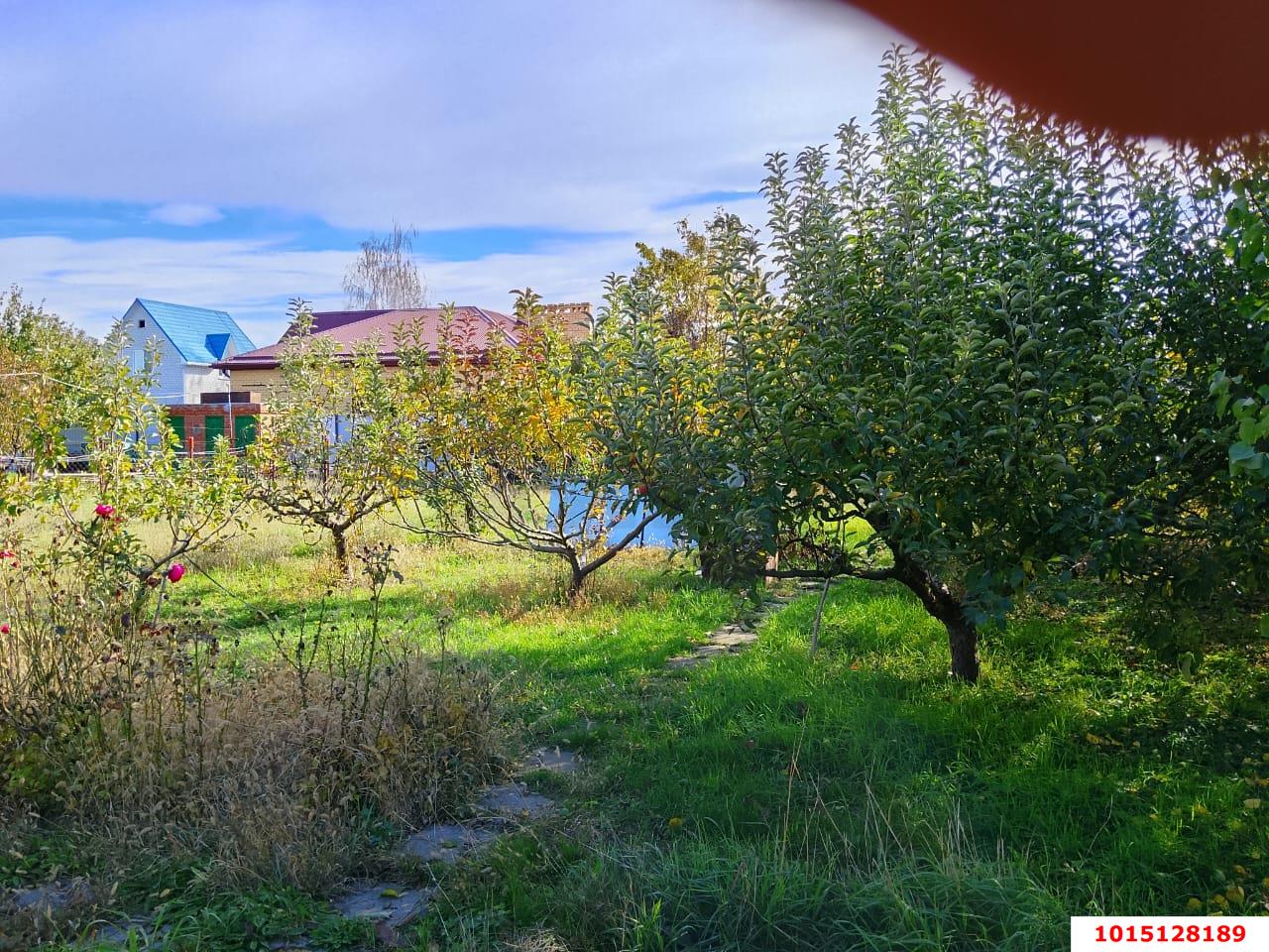 Фото №3: Личное подсобное хозяйство 6.3&nbsp;сот. - Ленина, Карасунский внутригородской округ, снт Радуга, ул. Клубничная, 510
