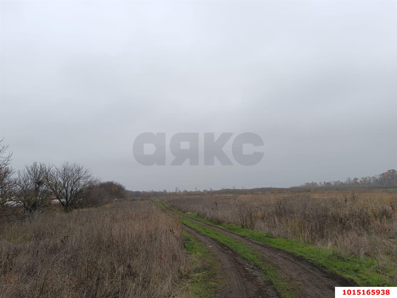 Фото №6: Земельный участок под ИЖС 6&nbsp;сот. - Дружелюбный, мкр. Прикубанский внутригородской округ, ул. Дружелюбная, 18