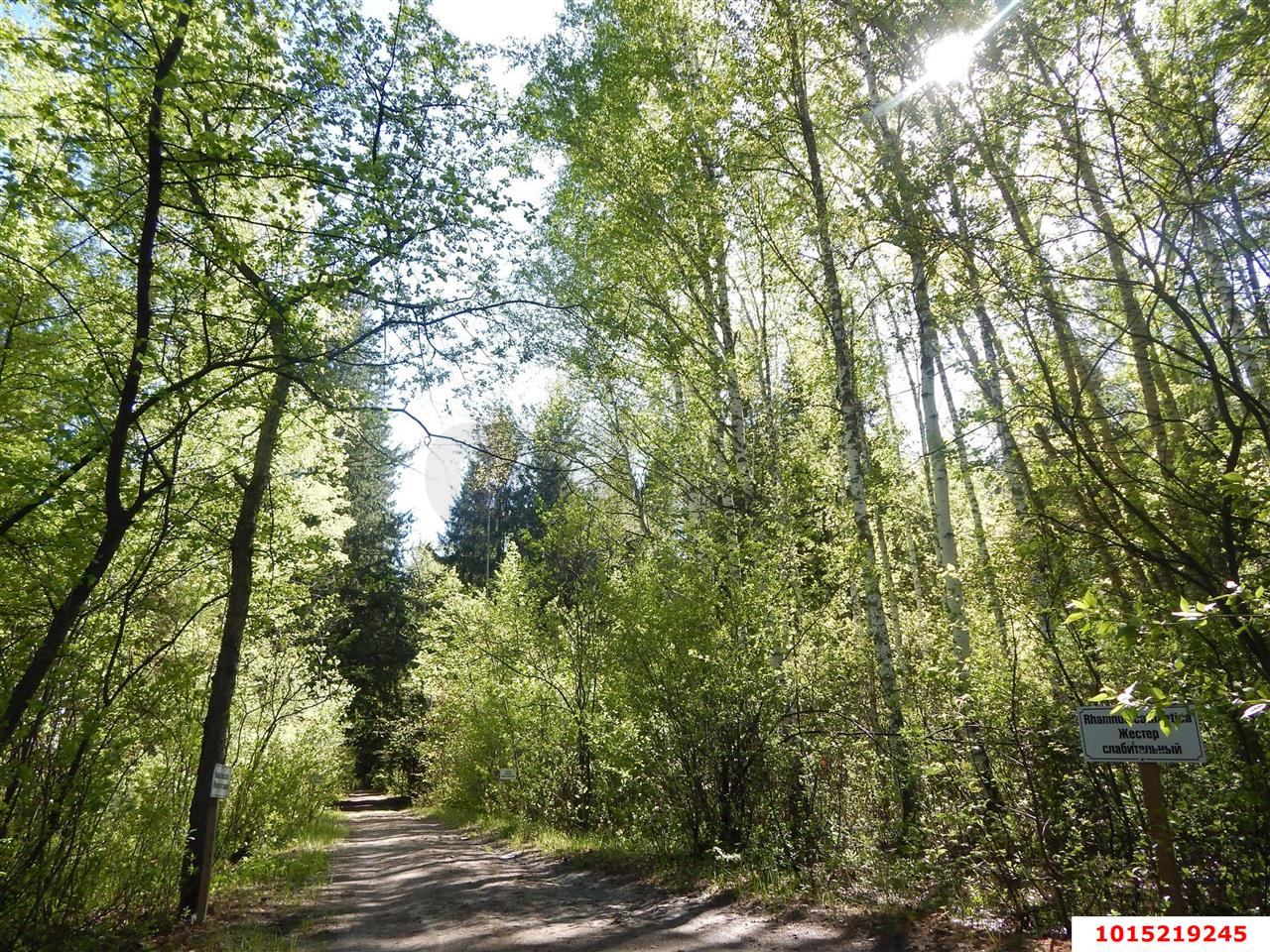 Фото №6: Личное подсобное хозяйство 4.6&nbsp;сот. - СТ Строитель