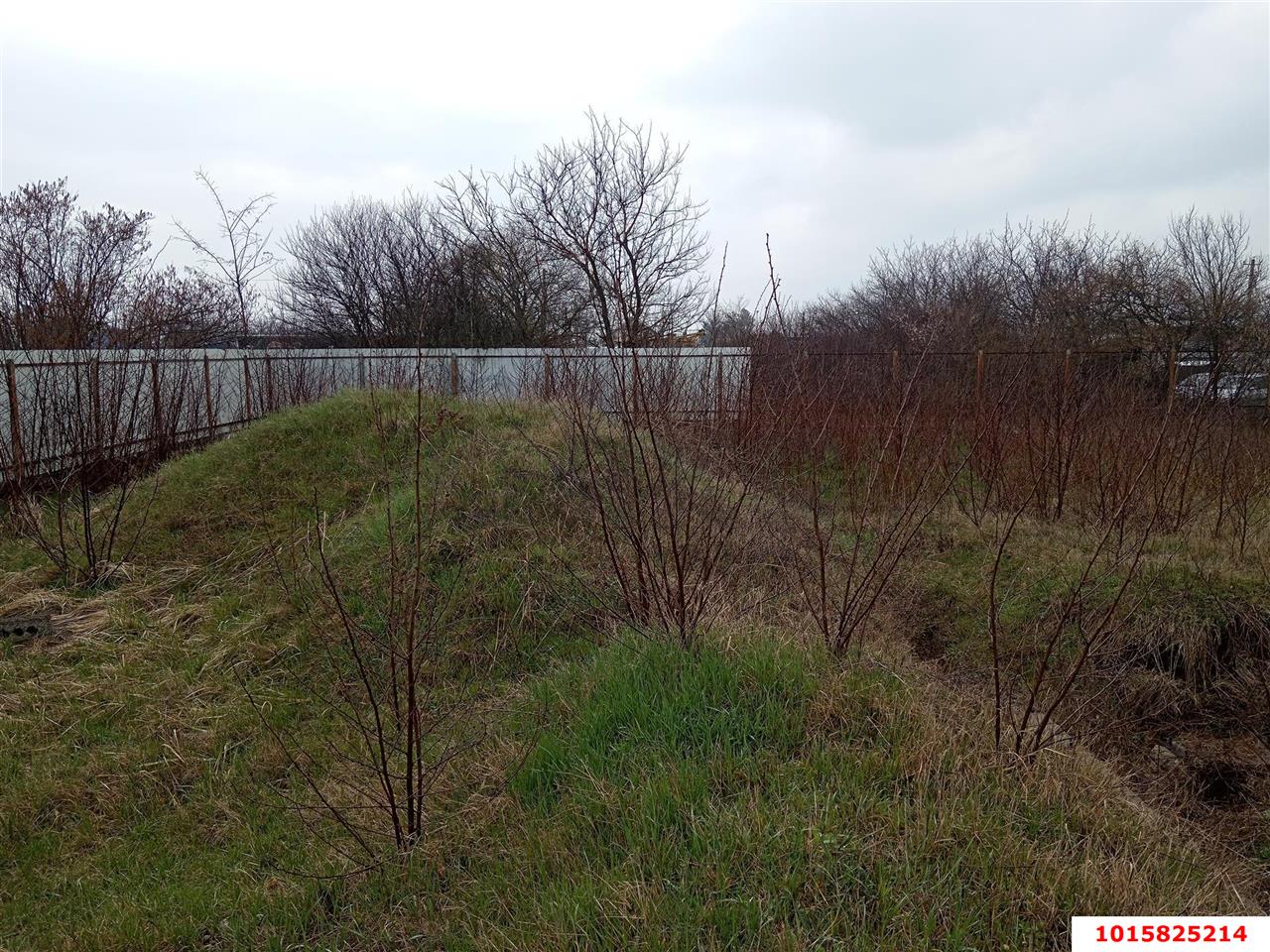 Фото №5: Личное подсобное хозяйство 8&nbsp;сот. - Октябрьский, Прикубанский внутригородской округ, ст Радужное, ул. Оранжевая, 87