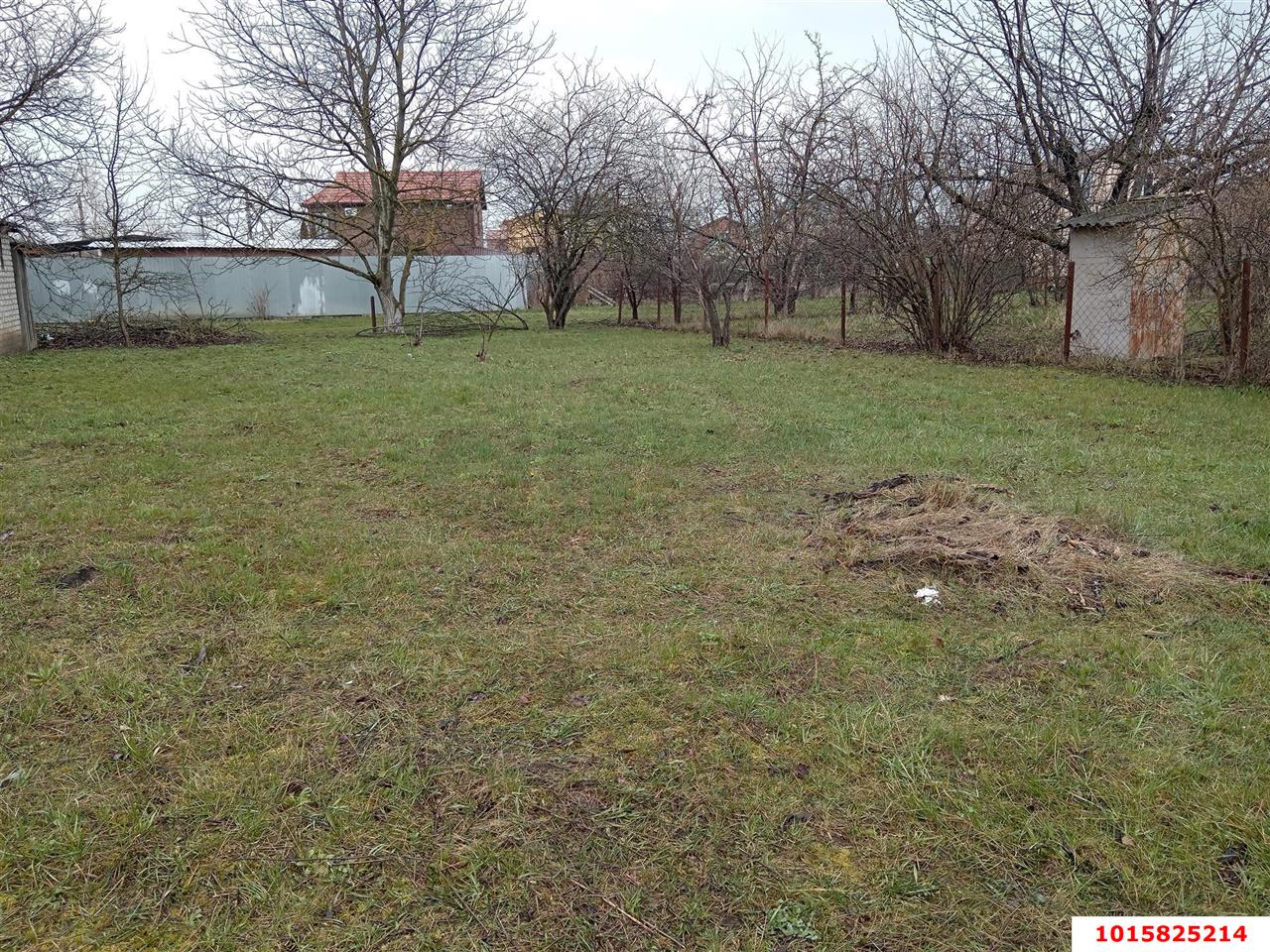 Фото №3: Личное подсобное хозяйство 8&nbsp;сот. - Октябрьский, Прикубанский внутригородской округ, ст Радужное, ул. Оранжевая, 87
