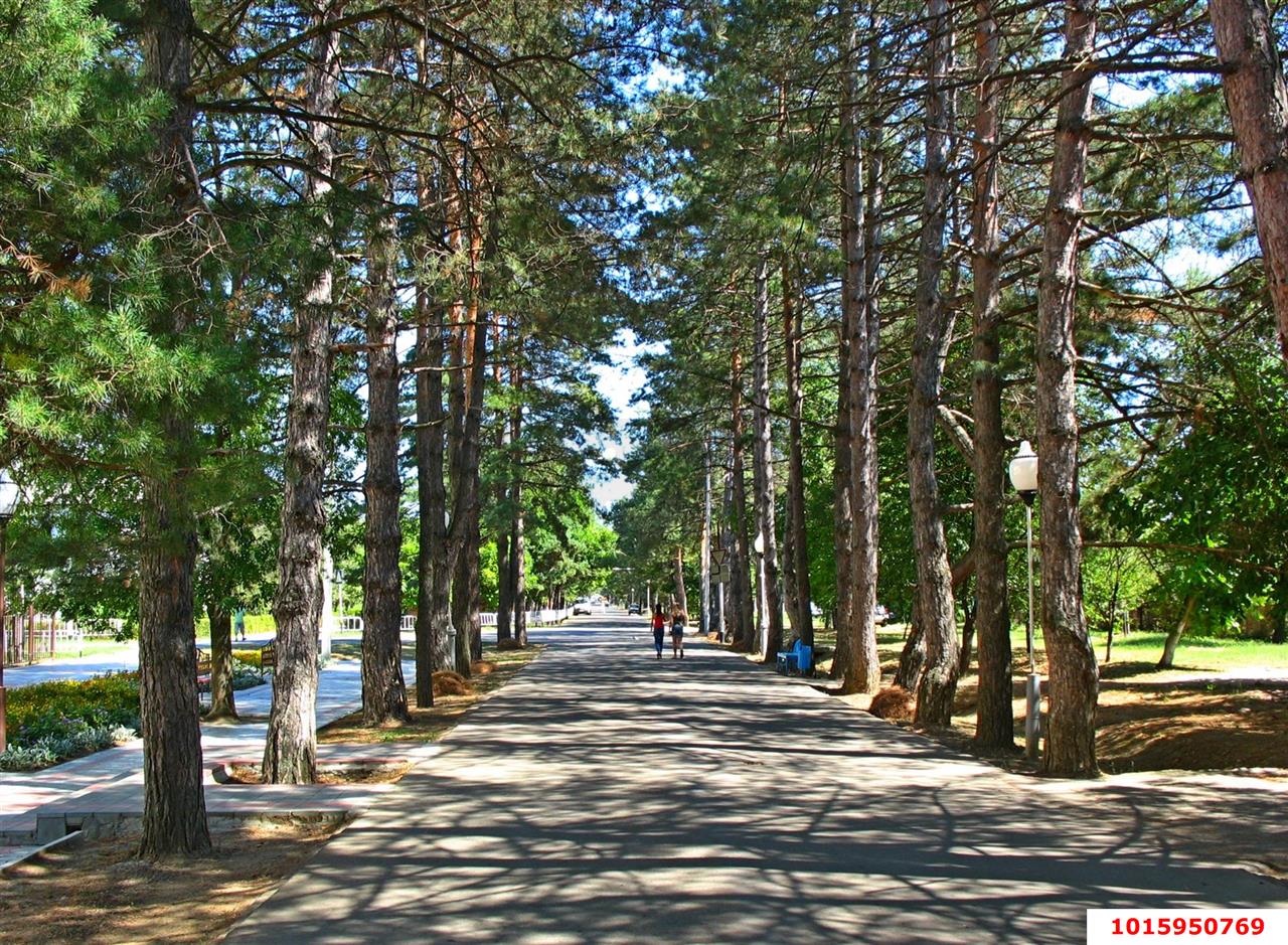 Фото №6: Готовый бизнес 1068&nbsp;м², 1/4&nbsp;эт. - Горячий Ключ, мкр. Курортная Зона, пер. Ворошилова, 16