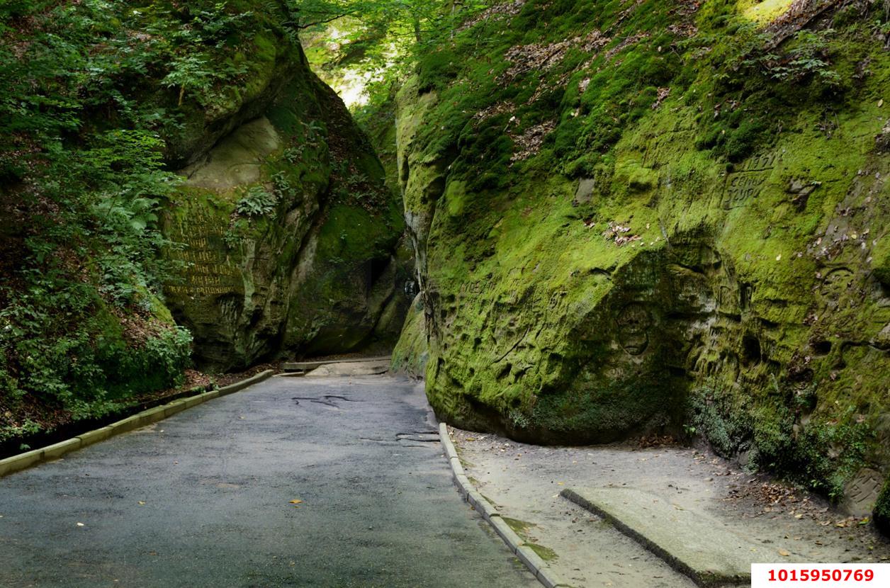Фото №7: Готовый бизнес 1068&nbsp;м², 1/4&nbsp;эт. - Горячий Ключ, мкр. Курортная Зона, пер. Ворошилова, 16